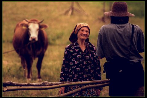 Viața la țară